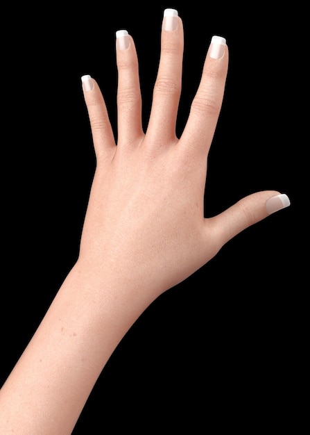 3D Hand with long square nails