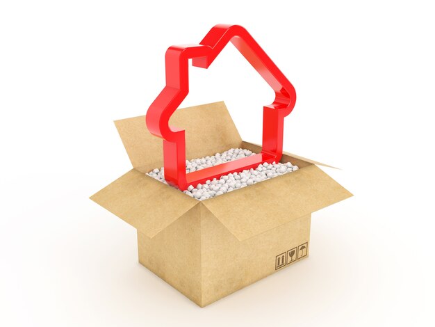 3d house shape icon in cardboard box