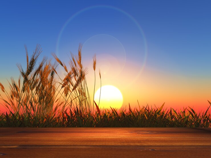 Foto 3d houten lijst die uit aan tarwe bij zonsondergang kijkt