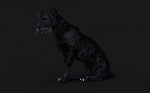 3d illustratie black panther isoleren op zwart