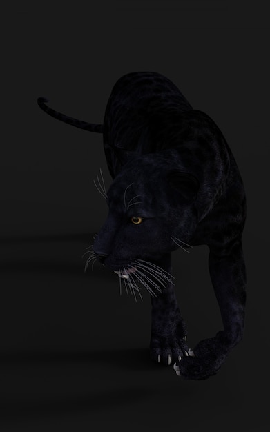 3d illustratie black panther isoleren op zwart