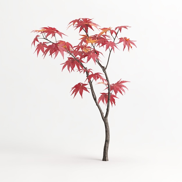 3D illustratie van Acer palmatum boom geïsoleerd op wit en zijn mask