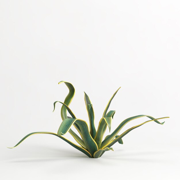 3D illustratie van Agave americana boom geïsoleerd op witte bachground