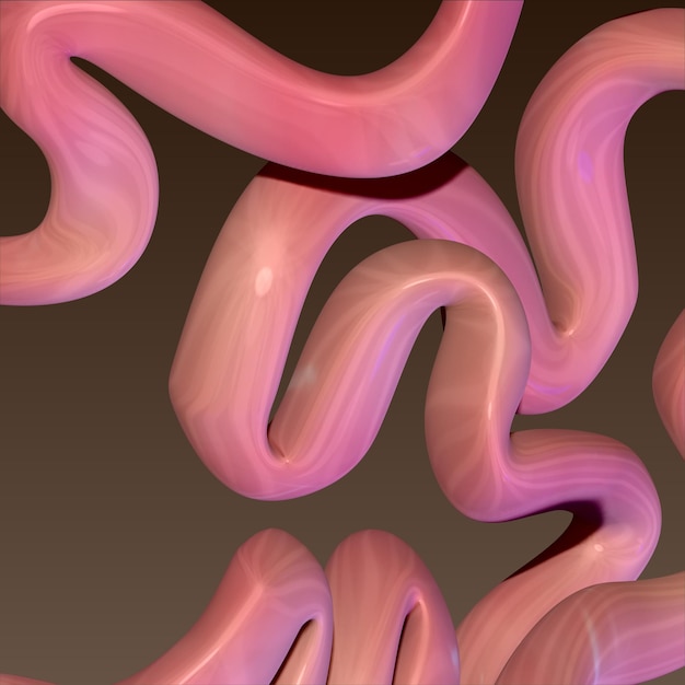 3D-illustratie van de menselijke dunne darm