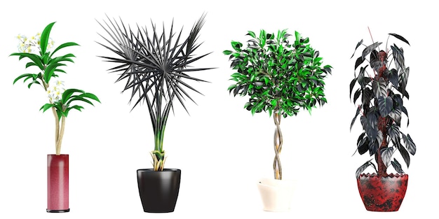 3D-illustratie van een collectie Weeping figBismarck palmfrangipani planten in potten perfect voor digitale compositie en architectuur visualisatie