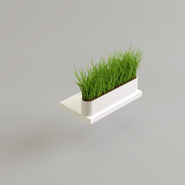 3d illustratie van gras in witte pot geïsoleerd op een witte background