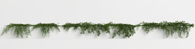 3D illustratie van hangende boom geïsoleerd op een witte achtergrond