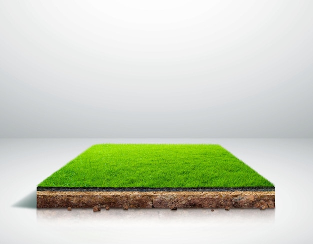 3D illustratie van isometrisch stuk grasland met bodemsectie. isometrische voetbalveld met e