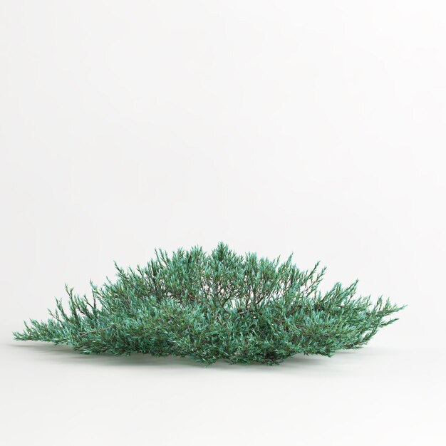 3d illustratie van juniperus horizontalis-boom die op witte achtergrond wordt geïsoleerd