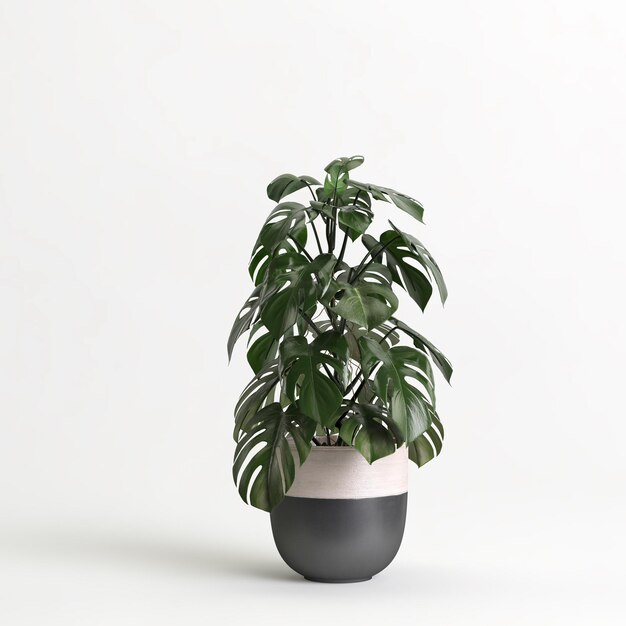 3d illustratie van kamerplant in pot op witte achtergrond