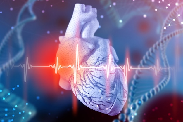 3d illustratie van menselijk hart en cardiogram. Digitale technologieën in de geneeskunde