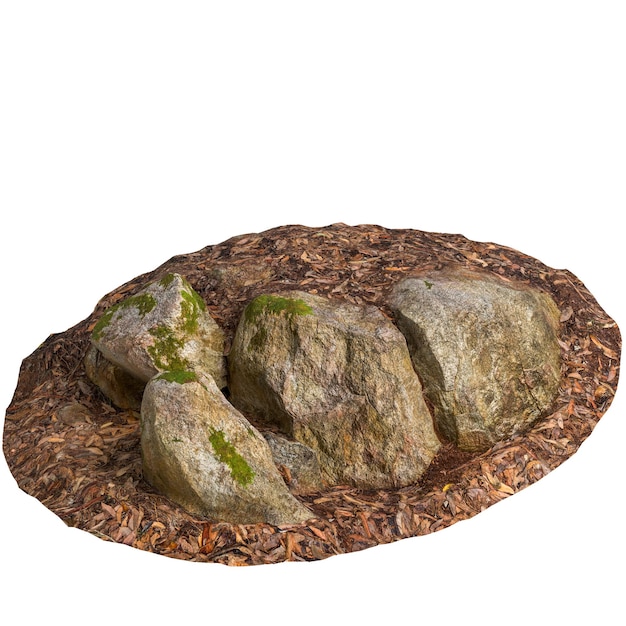 Foto 3d illustratie van met mos bedekte rotsen die op droge bladeren worden geplaatst die op witte achtergrond worden geïsoleerd