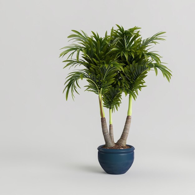 3d illustratie van palm in blauwe ingemaakte potten die op witte background