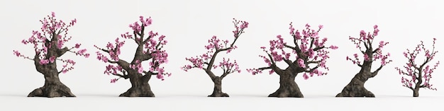 3D illustratie van set Armeniaca mume bonsai geïsoleerd op wit en zijn mask