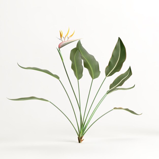 3d illustratie van strelitzia-boom die op witte achtergrond wordt geïsoleerd