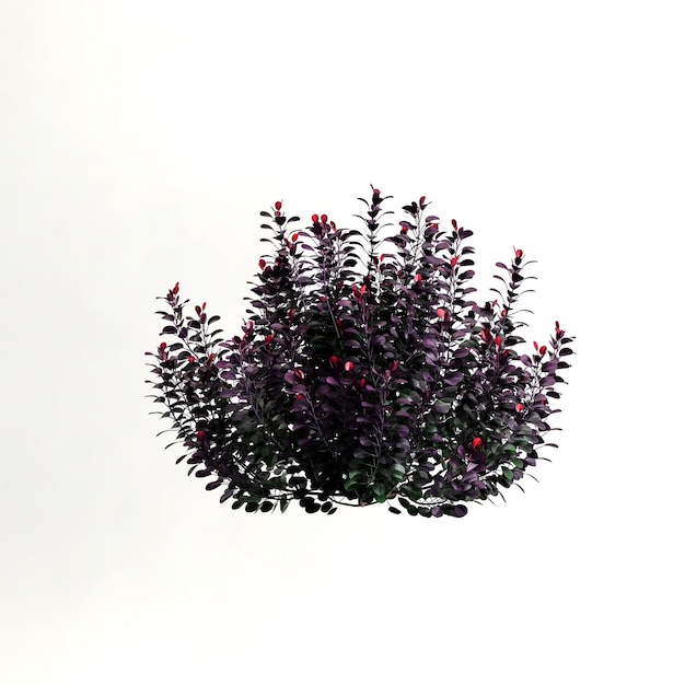 3d illustratie van struik met bloemen die op witte background