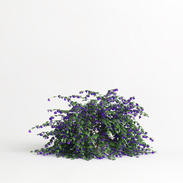 3d illustratie van thunbergia erecta geïsoleerd op een witte background