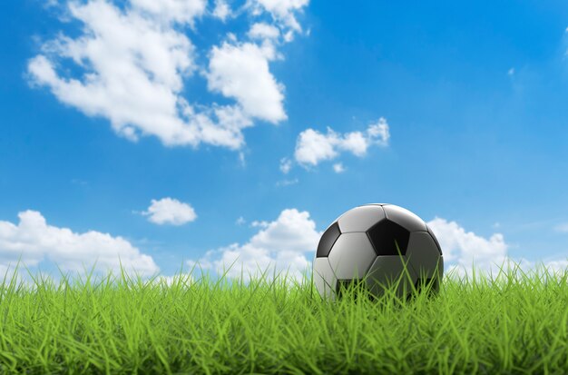 3D illustration 3D soccer ball on green grass with blue sky