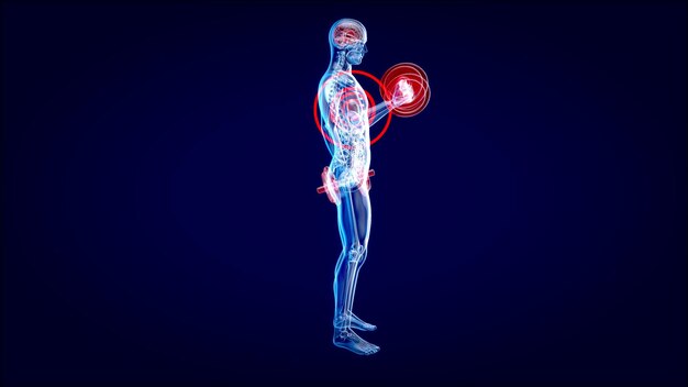 3D Illustration of an Anatomy of a Xray man doing Biceps Curls