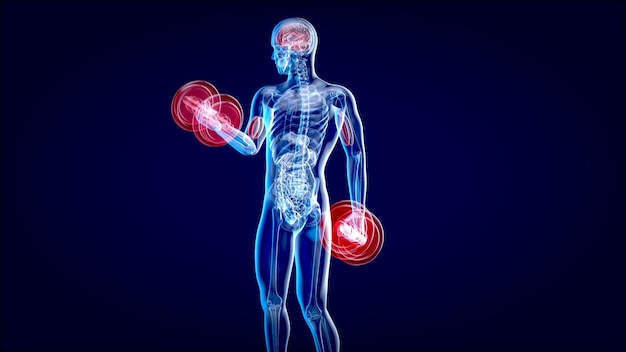 Photo 3d illustration of an anatomy of a xray man doing biceps curls