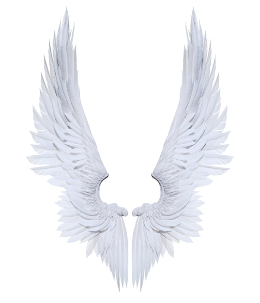 Photo 3d illustration angel wings, white wing plumage isolated on white background