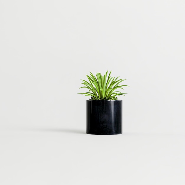 3d illustration of black houseplants isolated on white background