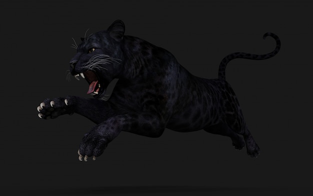 Photo 3d illustration black panther isolate on black