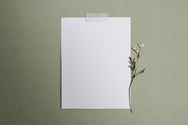 3d illustration of blank paper on cartoon background with a flower