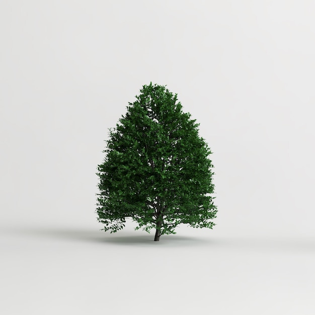 3d illustration of bush isolated on white background