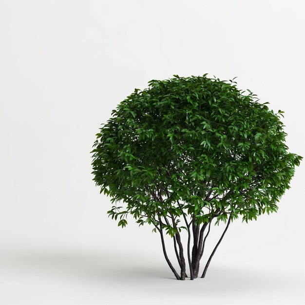 3d illustration bush isolated on white blackground