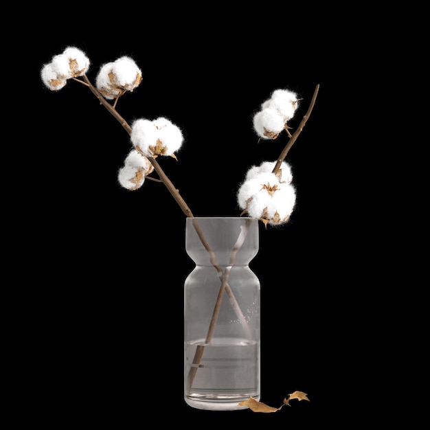 고급 공간 격리된 검정색 배경에 있는 세이바 펜탄드라 꽃병 장식의 3d 그림
