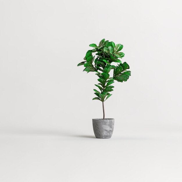 흰색 배경에 고립 된 콘크리트 houseplants의 3d 그림