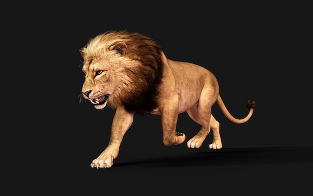 3d Illustration of Dangerous Lion Acts and Poses Isolated on Black Background with Clipping Path