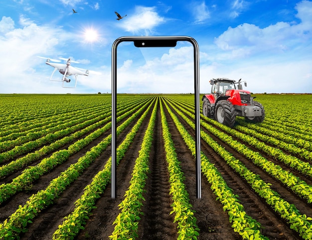 3d illustration of farm crops with smartphone on the ground.\
smart farming concept design ads.