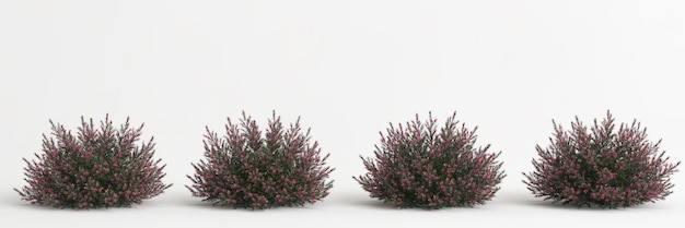 白い背景で隔離の花の茂みの 3 d イラストレーション