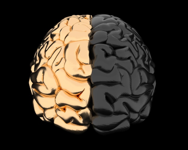 3d illustration of the golden human brain top view