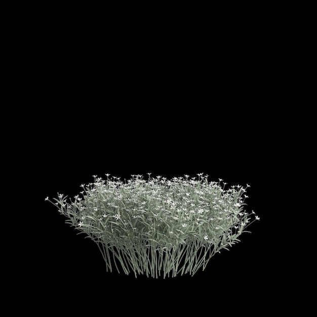 3d illustration of grass bush with flower isolated on white background