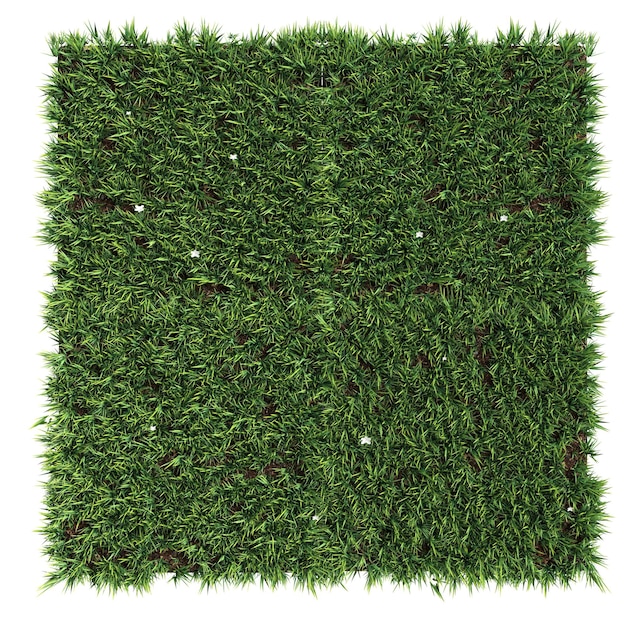 흰색 배경에 고립 된 잔디의 3d 그림