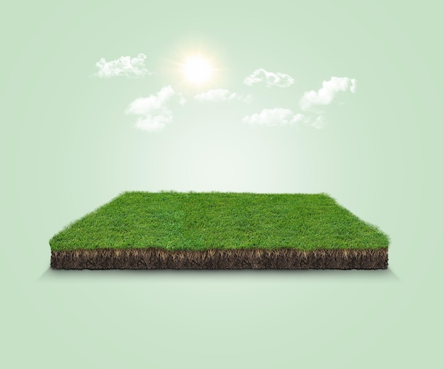 3d illustration grass landscape isolated on green background