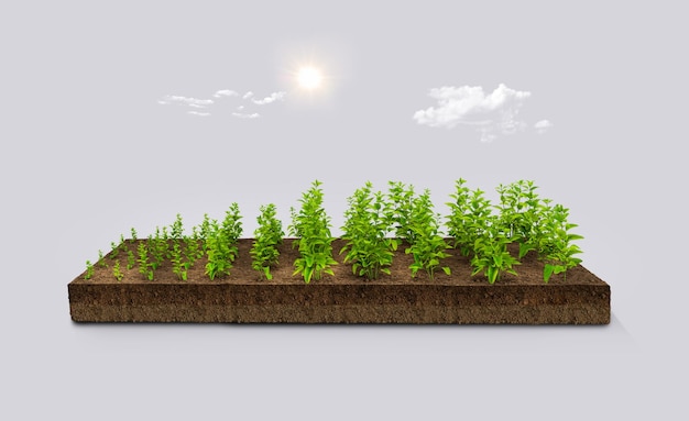 열 대 자연 여름 배경 생태 및 환경 개념에 3d 그림 녹색 식물