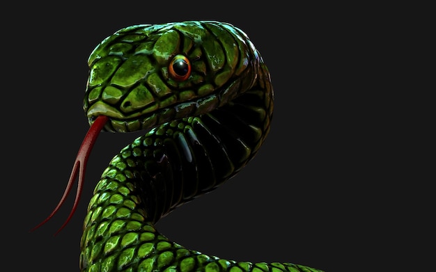 Illustrazione 3d serpente verde su sfondo nero scuro modello di rendering 3d con tracciato di ritaglio