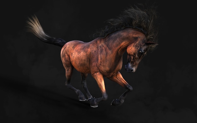 3d Illustration Handsome Brown Horse Pose Long Mane Isolate on Dark Background with Clipping Path