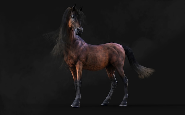 3d Illustration Handsome Brown Horse Pose Long Mane Isolate on Dark Background with Clipping Path