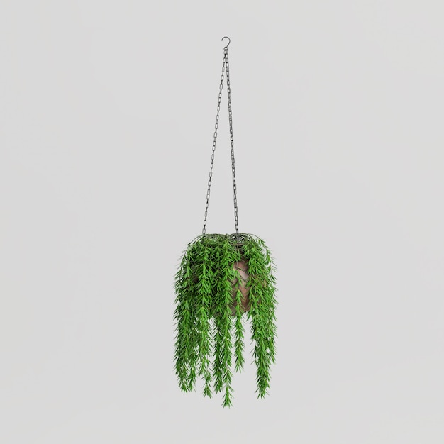 3d illustration of hanging plant isolated on white background