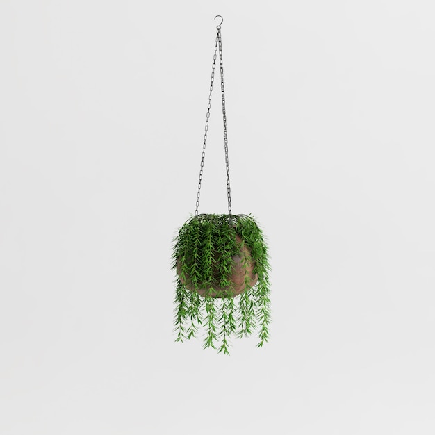 3d illustration of hanging plant isolated on white background