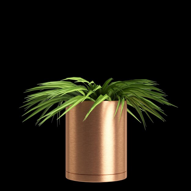 Photo 3d illustration of houseplant isolated black background