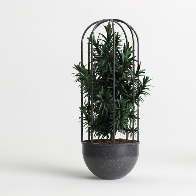 白い背景で隔離の観葉植物の3dイラスト