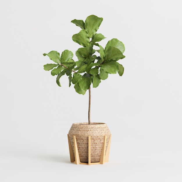 3d illustration of houseplant in potted on white background