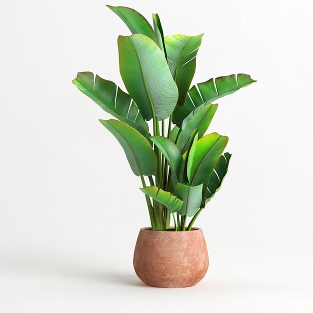 3d illustration of houseplant in terrazzo potted on white background