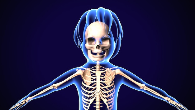 인체 골격 해부학의 3D 일러스트레이션